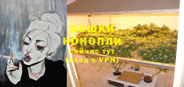 молекула духа Бугульма