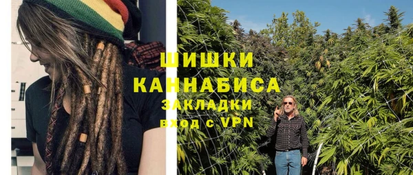 молекула духа Бугульма