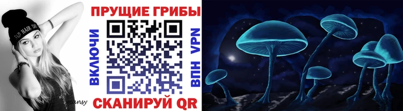 Псилоцибиновые грибы мухоморы  дарк нет официальный сайт  Новокузнецк 
